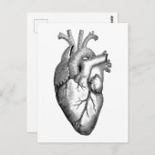 Heart Anatomy Science Briefkaart (Voorkant / Achterkant)