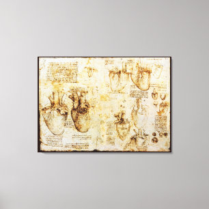 Heart en bloedvaten daarvan, Sepia Canvas Afdruk