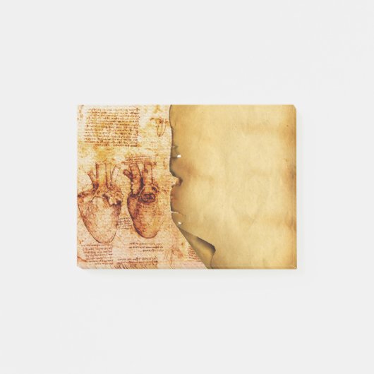 Heart en bloedvaten, medisch perkament post-it® notes (Voorkant)