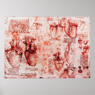 Heart en zijn bloedvaten Leonardo da Vinci, rood Poster