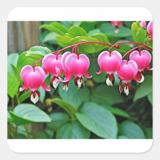 Heart Love Vierkante Sticker (Voorkant)