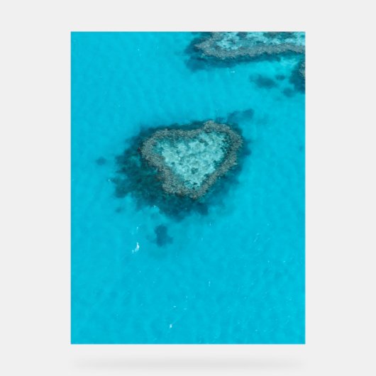 Heart Reef Nature (Recto)