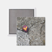 Heart Rock en Fossil Rock Magneet (Voorkant / Achterkant)