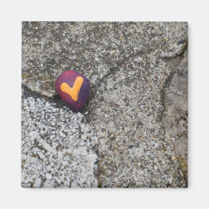 Heart Rock en Fossil Rock Magneet