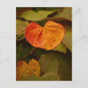 Heart Shaped Autumn Leaf Briefkaart