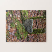 Heart-Shaped Rock Legpuzzel (Horizontaal)