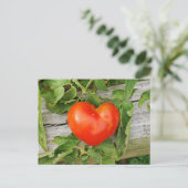 Heart Shaped Tomato Briefkaart (Staand voorkant)