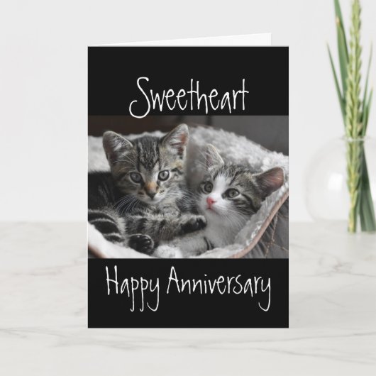 Heart Sweeat Jubileum Cat Animal Kaart (Voorkant)