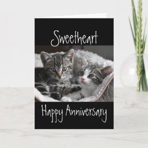 Heart Sweeat Jubileum Cat Animal Kaart