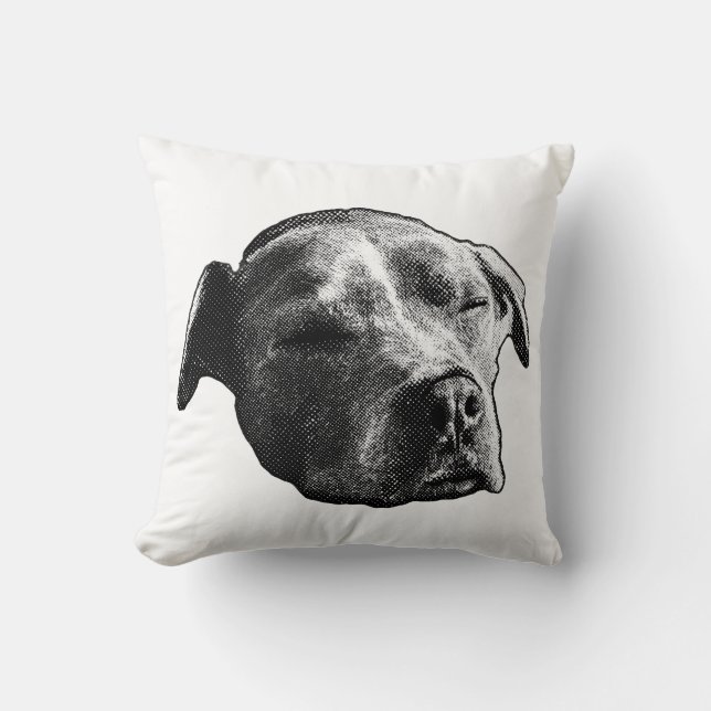 Hearth Whisper Kussen (Voorkant)