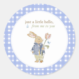 Hearthlight Notes Lente Zachte Weide Gingham Ronde Sticker
