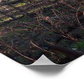 Hearthstone Vineyard in Paso Robles, CA Poster (Hoek)