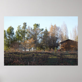 Hearthstone Vineyard in Paso Robles, CA Poster