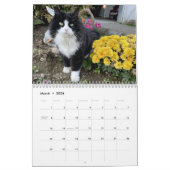 Heartsong Equestrian Wall Calendar 2023 Kalender (Mar 2026)