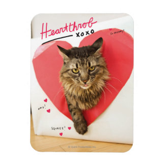 Heartthrob Cat Magneet