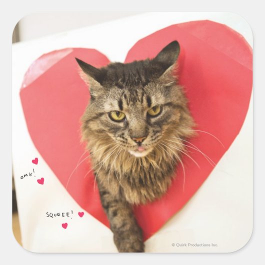 Heartthrob Cat Vierkante Sticker (Voorkant)