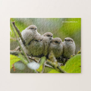 Heartwarming Cute Bushtits Songbird Family Foto Legpuzzel