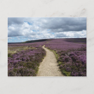 Heather (gemêleerd) briefkaart