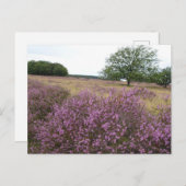 Heather Landscape DIY Briefkaart (Voorkant / Achterkant)
