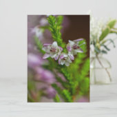 Heather Spring flower evergreen bloom paars Kaart (Staand voorkant)