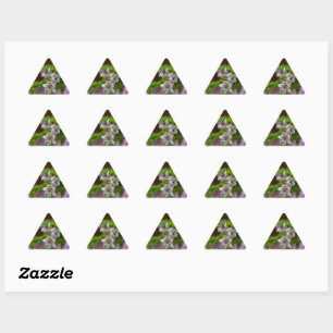 Heather Spring flower evergreen bloom paars wit Driehoek Sticker