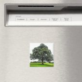 Heaton Park Magnet (In Situ (Lave-vaisselle))