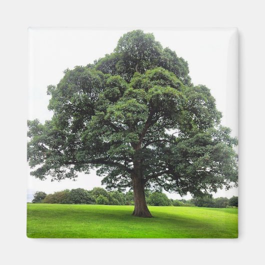 Heaton Park Magnet (Devant)
