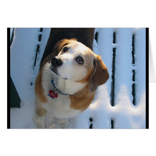 Heaven Hound (Devant horizontal)