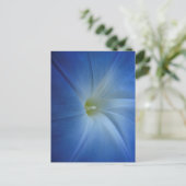 Heavenly Blue Morning Glory Close-up Briefkaart (Staand voorkant)
