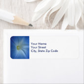 Heavenly Blue Morning Glory Flower Etiket (Insitu)