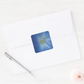 Heavenly Blue Morning Glory Flower Vierkante Sticker (Envelop)