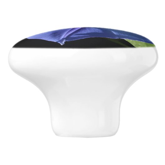 Heavenly Blue Morning Glory Kitchen Knobs Keramische Knop (Zijkant)