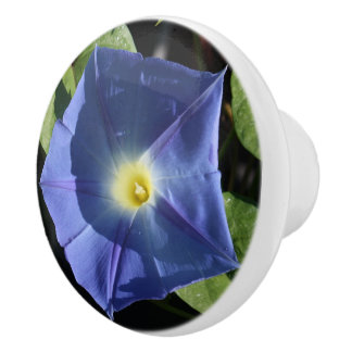 Heavenly Blue Morning Glory Kitchen Knobs Keramische Knop