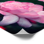Heavenly Pink Rose Flower Abstract Poster (Hoek)