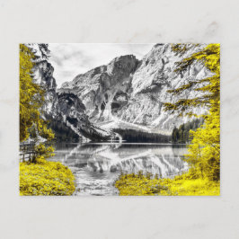 Heaven's Gate: Gele vlek van kleur Briefkaart