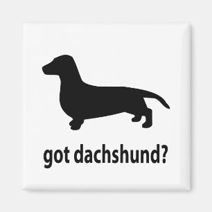 Heb Dachshund Magneet