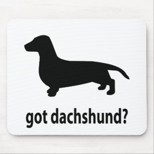 Heb Dachshund Muismat