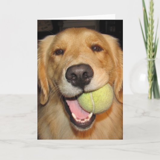 Heb een Bal! Kaart (Voorkant)