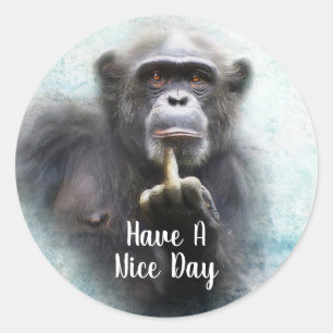 Heb een fijne dag grappige Chimpansee-middelvinger Ronde Sticker