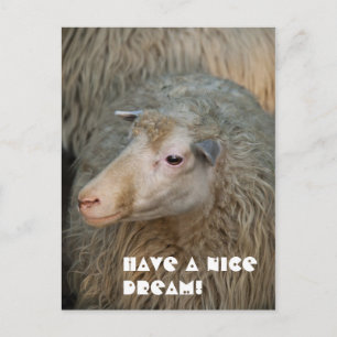 Heb een leuke droom ansichtkaart briefkaart