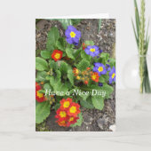 Heb een mooi dag-gemengd bloembed kaart (Voorkant)