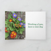 Heb een mooi dag-gemengd bloembed kaart (Binnen)