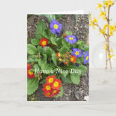 Heb een mooi dag-gemengd bloembed kaart (Gele Bloem)