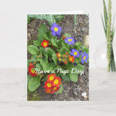 Heb een mooi dag-gemengd bloembed kaart (Voorkant)