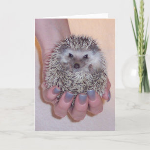 Heb een Wenskaart van de Bal Kaart
