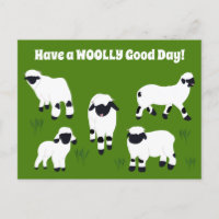 Heb een WOOLY Good Day Valais Blerkende Sheep