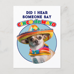 Heb ik Cinco De Mayo Sombrero Chihuahua gehoord? Feestdagenkaart
