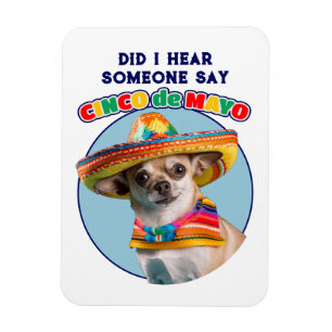Heb ik Cinco De Mayo Sombrero Chihuahua gehoord? Magneet