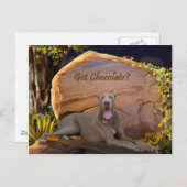 Heb je Chocolate Dane? Briefkaart (Voorkant / Achterkant)