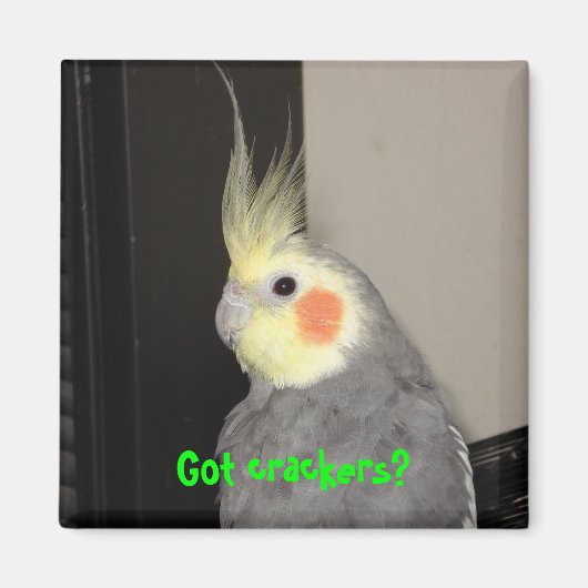 Heb je crackers? magneet (Voorkant)